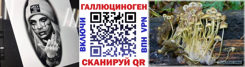 Псилоцибиновые грибы мицелий  Купить где  Куровское 